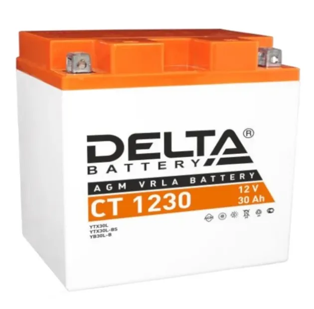 Аккумулятор CT1230 12 B 30 Ah 300 A 168*126*175 обратная (- +) YIX30L, YIX30L-BS, YB30L-B DELTA battery